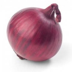 Onion