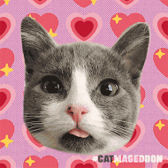 giphy.gif.499bb473f8194b3624058f7feb478f32.gif